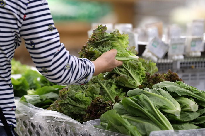 “주식 말고 OO 살걸..” 지난 달 대비 가격 400% 폭등한 채소 (+정체)