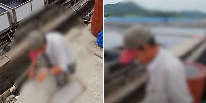 23년간 하루 16시간 무임금 노동착취...신안 ‘염전 노예’ 피해자 충격 인터뷰(+영상)