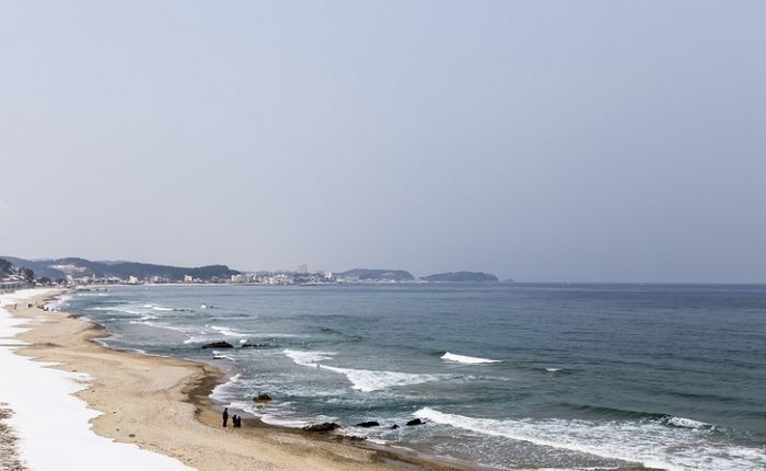 늙은 어머니와 함께 ‘뻘’에서 조개 캐다 문화재 발견한 아들...보상금 최대 1억원