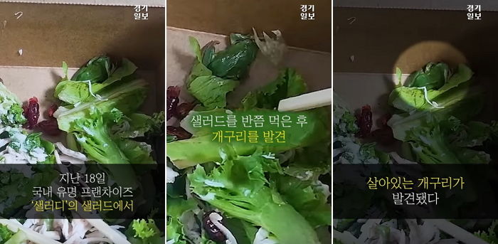 “샐러드 전문매장 샐러디에서 개구리 나왔는데 30만원으로 퉁치려 했습니다”