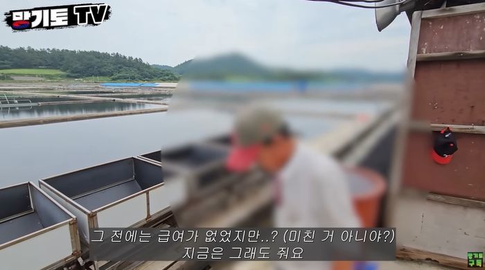 “혹시 주민 데려가요?”...신안군 나가는 유튜버에게 항구 매표소 여직원의 소름 질문