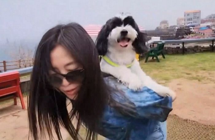 “케이지에 이불 덮어 방치” 가수 장필순 반려견, 애견호텔서 10시간 만에 열사병으로 숨져