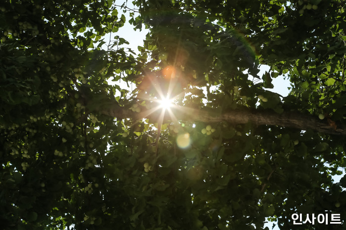 광주서 폐지 수집하고 귀가한 할머니 사망...체온 ‘41.5도’까지 올랐다