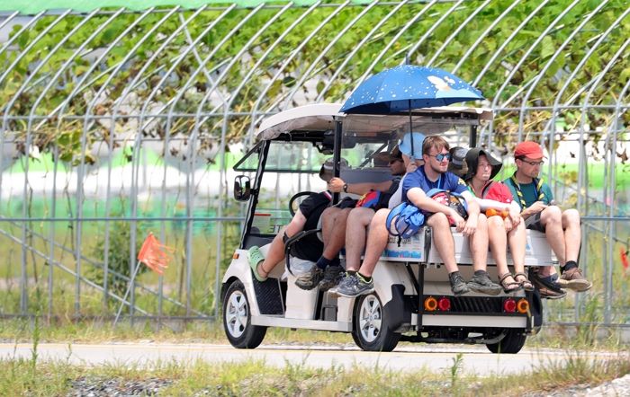 스치기만 해도 물집 잡히는 ‘화상벌레’와 모기 들끓는 ‘잼버리’ 상황