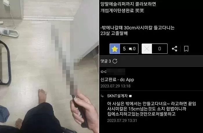 인사이트