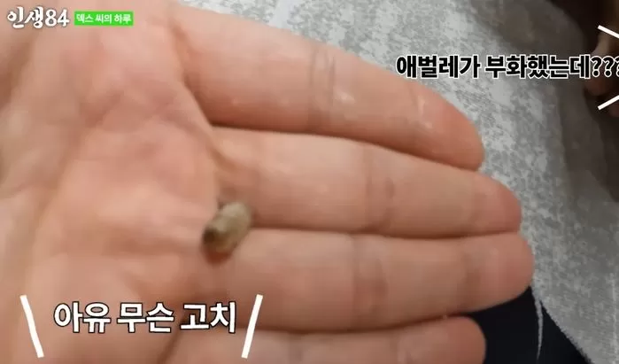 인사이트