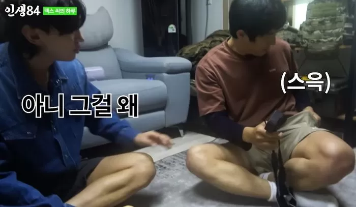 인사이트