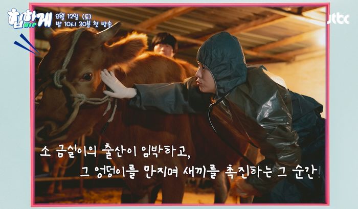 엉덩이 만지면 초능력 생겨...누리꾼 사이서 말 나오고 있는 JTBC 드라마 ‘힙하게’