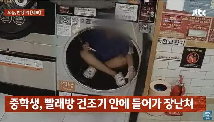 인사이트