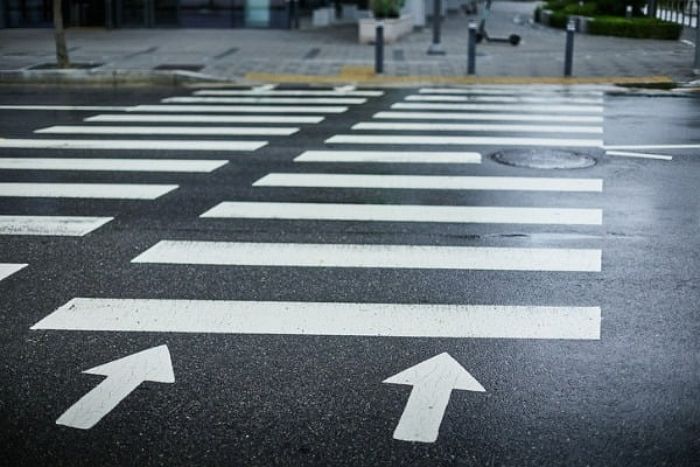 무단횡단 중 놀라 넘어져 골절된 보행자...운전자 ‘유죄’ 나왔다