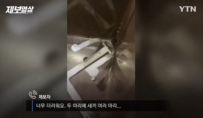 “입에 묻은 음식 냅킨으로 닦은 뒤 확인해 보니 ‘바퀴벌레’가 득실거리고 있었습니다”