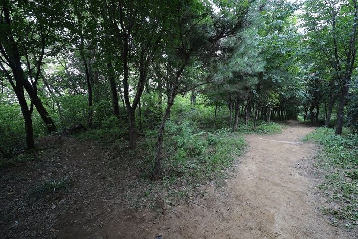 “선생님 빨리 일어나세요”...신림동 성폭행 피해자, 개학 앞두고 운동하던 선생님이었다