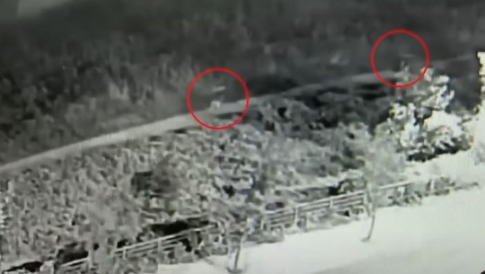 경찰관조차 경악하게 만든 산책하는 여성 CCTV 현장 영상