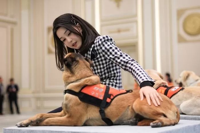 “개고기 그만 먹어요”...개식용 금지하는 ‘김건희법’ 통과되나