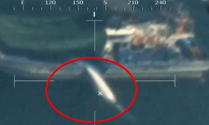 멸종위기 ‘밍크고래’ 17마리 작살로 수차례 찌르고 해체해 16억원 챙긴 일당 (+영상)