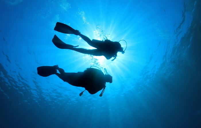 스쿠버다이빙 하다 ‘뇌병변 장애’ 판정받은 여행객...모두투어, 7억 7천만원 배상 판결