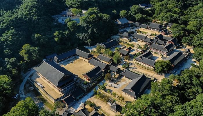 고기 안 먹는 한국의 스님들이 세계 최초로 도전한 ‘화엄사 버거’ 10월 출시