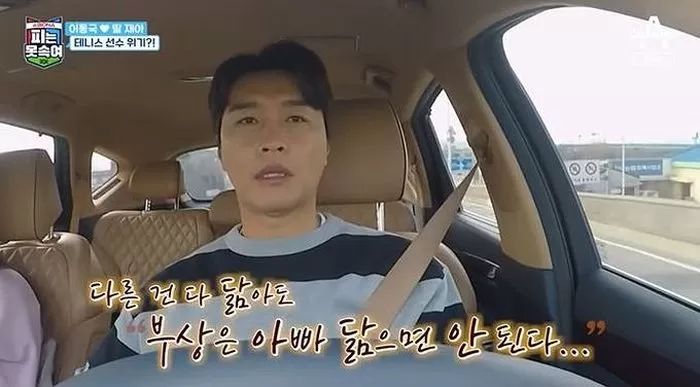 인사이트