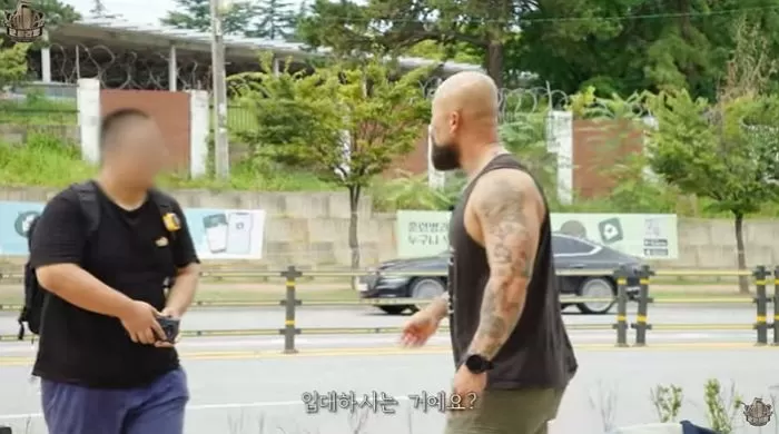 인사이트