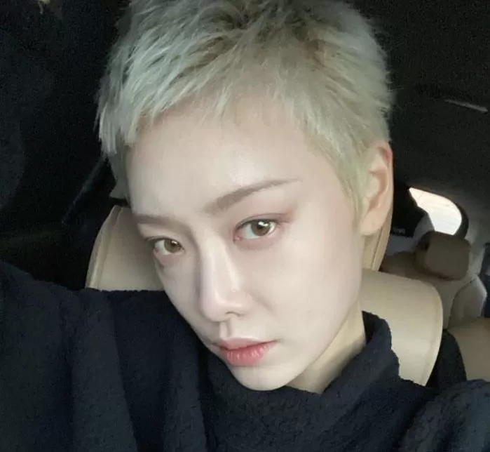 인사이트