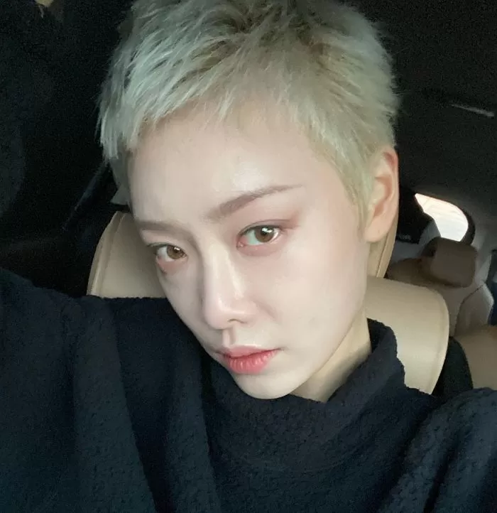 인사이트