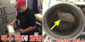 팔팔정육점 이미지