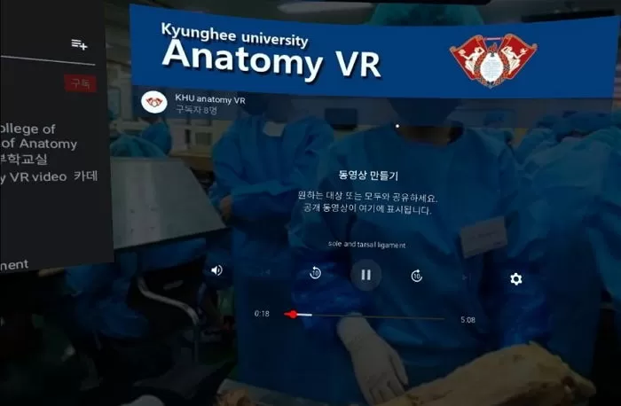 인사이트