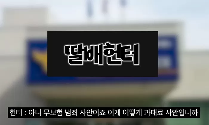 인사이트
