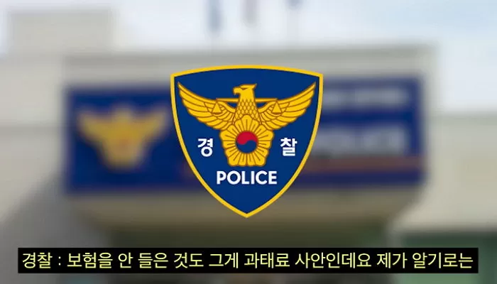 인사이트