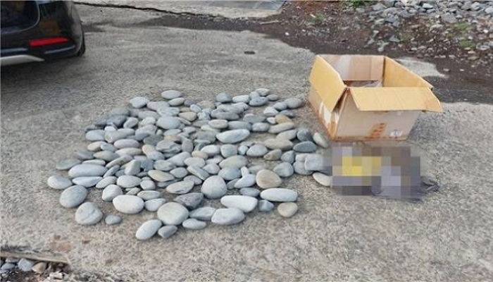 제주도 해변에만 있는 자갈돌 ‘몽돌’ 박스째 훔쳐 갔다가 잡힌 중국인 모녀
