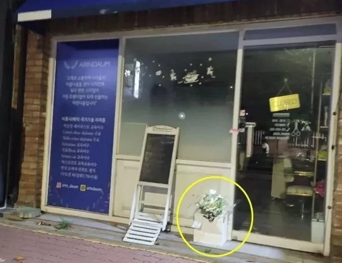 인사이트