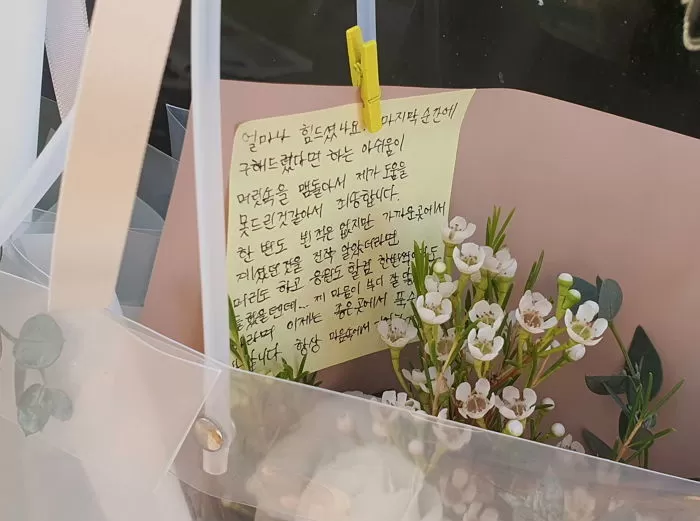 인사이트