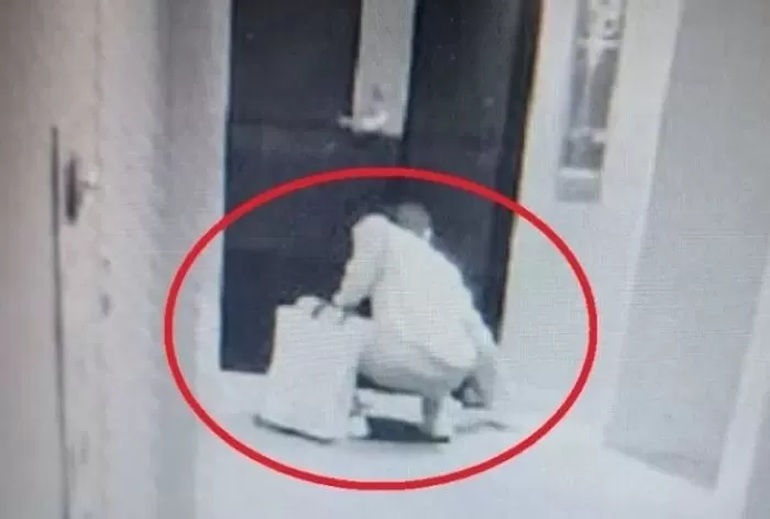 인사이트