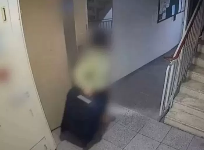 인사이트