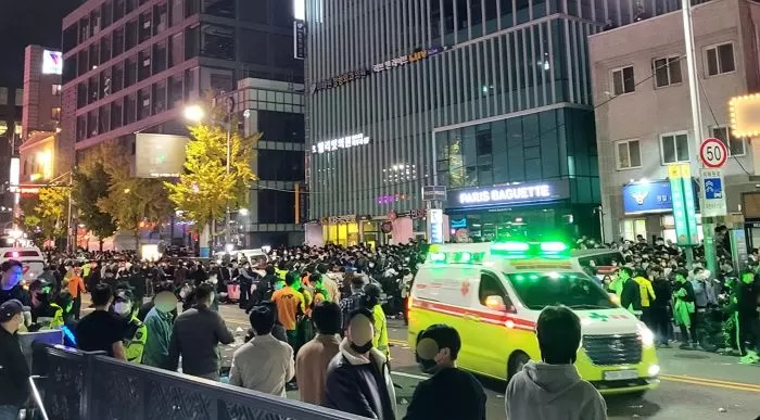인사이트