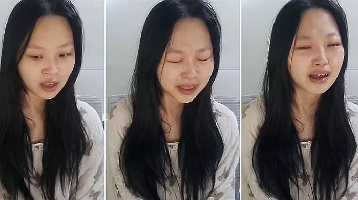 인사이트