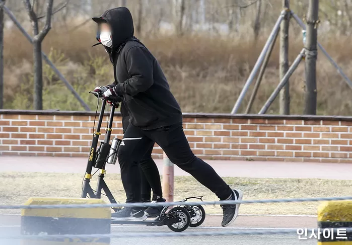 인사이트