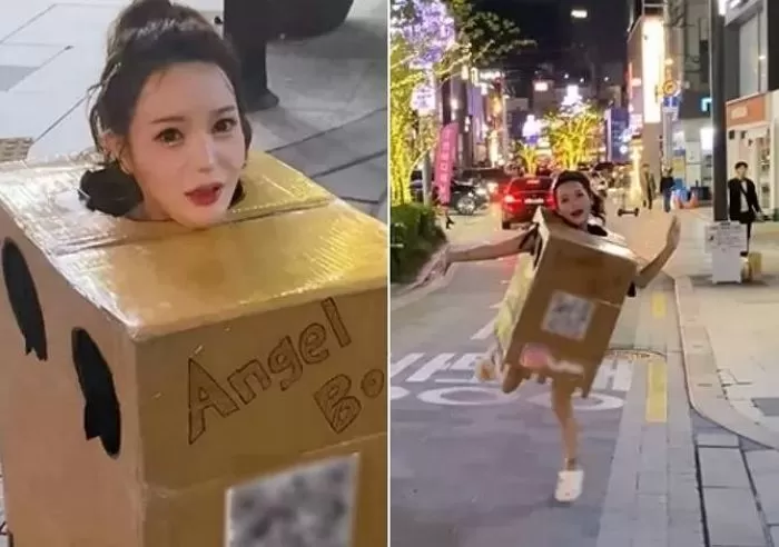 인사이트
