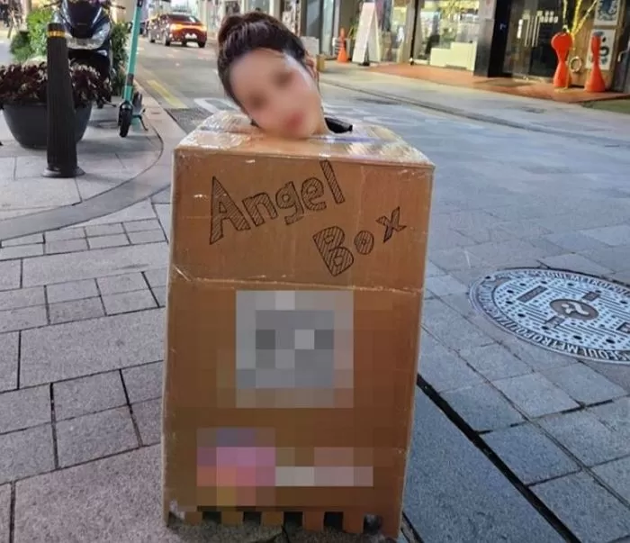 인사이트