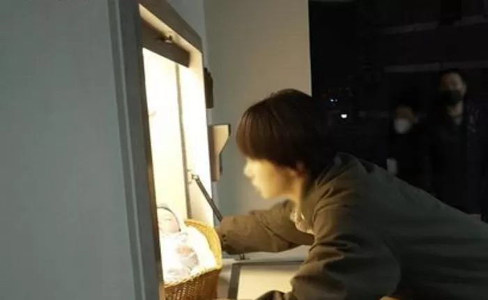 인사이트
