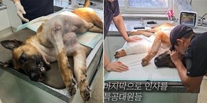 나라에이스 이미지