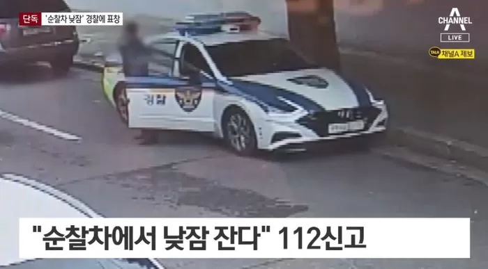인사이트