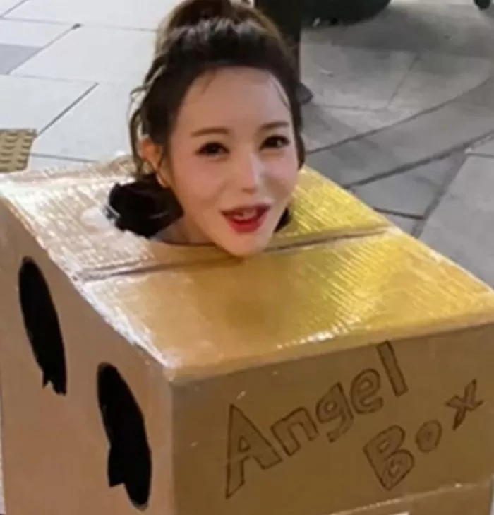 인사이트