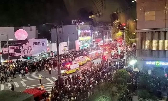 인사이트