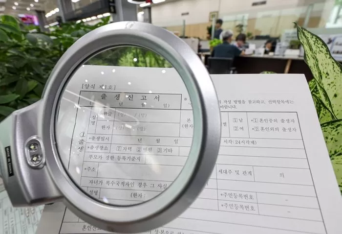 인사이트