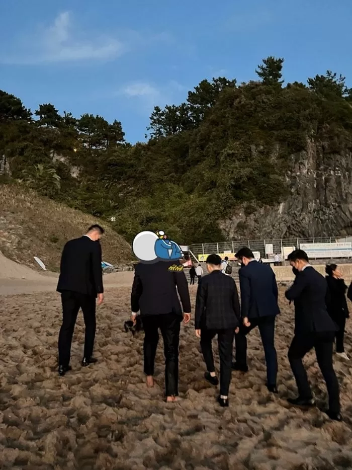 인사이트