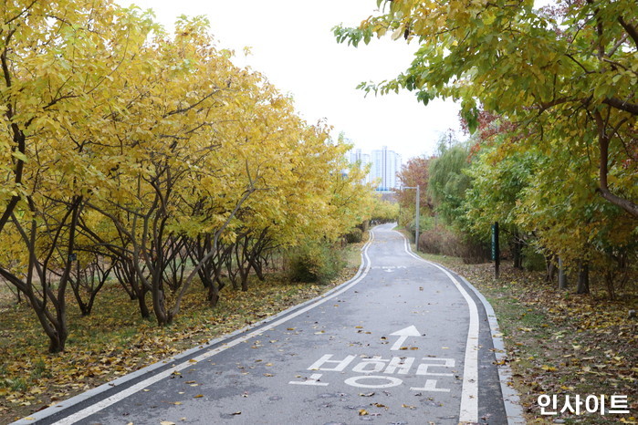 토요일인 내일(28일), 전국 맑고 선선한 가을 날씨...일교차 10도 이상 ‘주의’