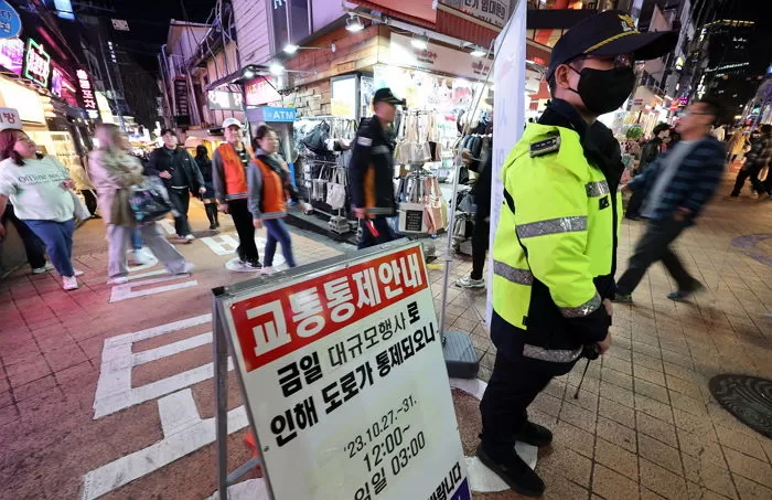 인사이트