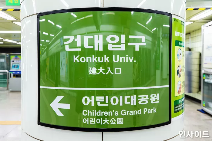 인사이트