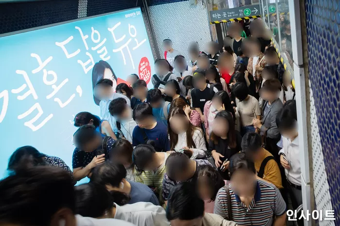 인사이트